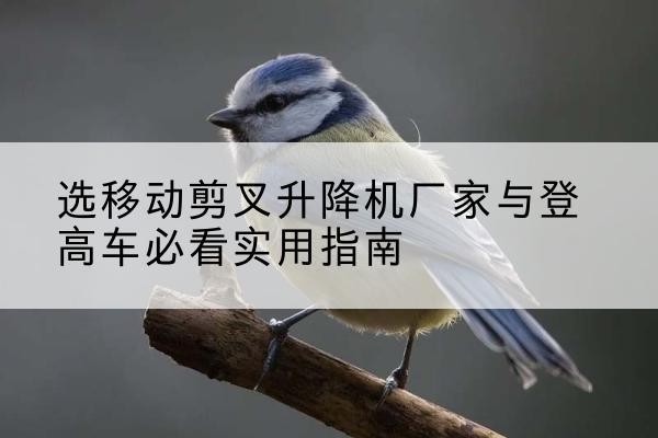钟楼电动升降机厂家-选移动剪叉升降机厂家与登高车必看实用指南