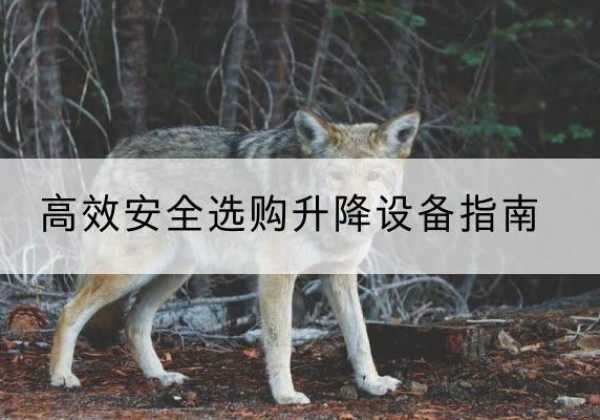 钟楼升降货梯厂家推荐-*安全选购升降设备指南